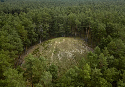 Drohnenaufnahme des Spitzberg bei Klinke, eine offene Moränenkuppe umgeben von einem Kiefernforst
