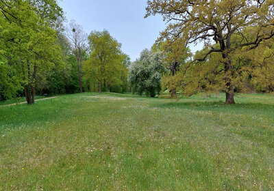 Kühnauer Park bei Dessau